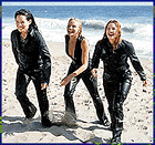 Beached Angels